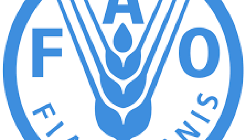 fao Risk and Compliance Specialist Vacancy-Job Ref: WJMWFAO/0407/2025812